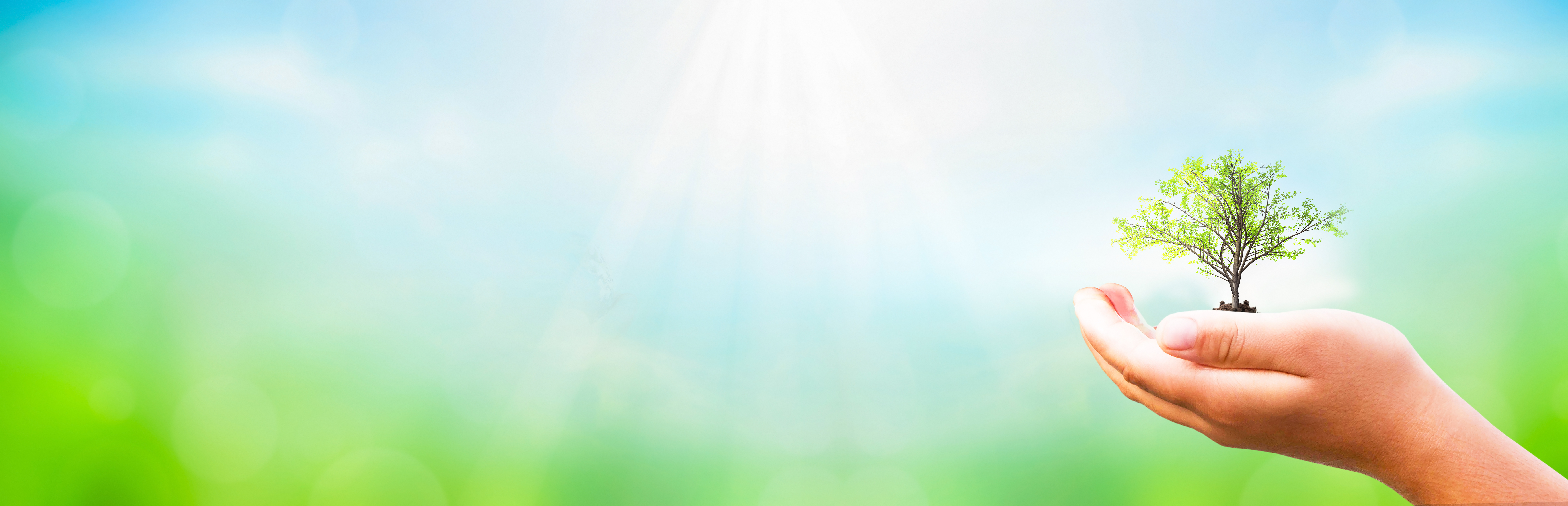 Environmentally Friendly Shutterstock 1683363571